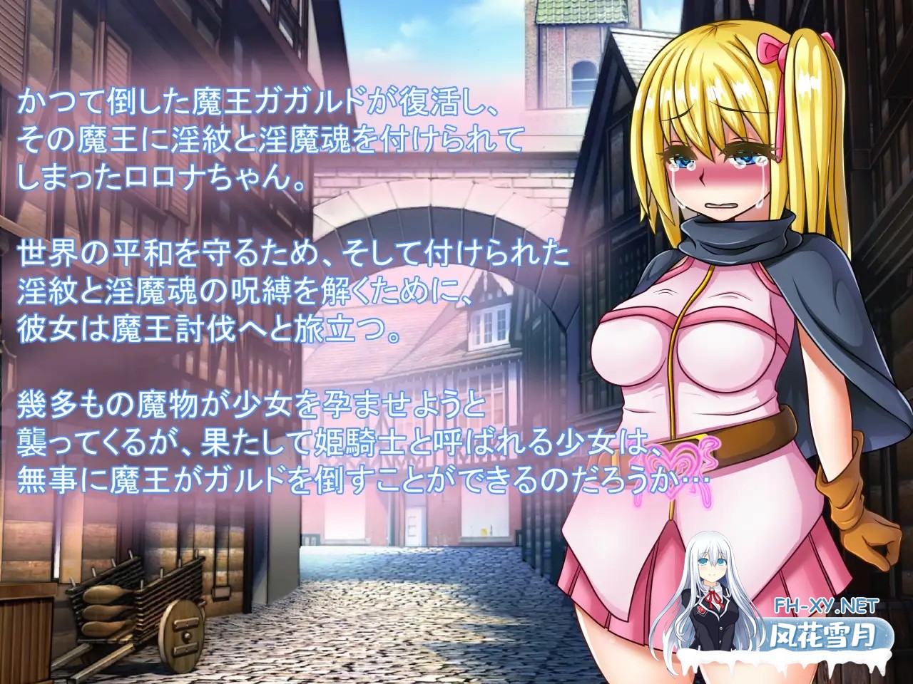 [RPG/生肉/异种X/怀孕/中出][RJ417357/Team-weak tail社团]ロロナと淫魔と憑依魂[PC/1.32G]-3.jpg