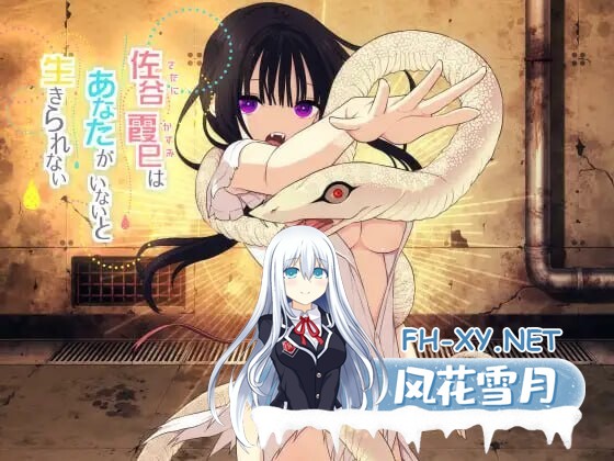 [SLG/PC] 佐谷霞没有你就活不下去 佐谷霞巳はあなたがいないと生きられない v1.10 AI汉化 [737M]-1.jpg