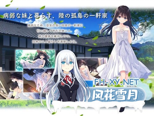 [RPG/PC] 痴情哥哥与病弱妹妹的乡间生活 エッチで一途なド田舎兄さまと、古式ゆかしい病弱妹 +DLC 官方中文版[4.2G]-2.jpg