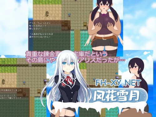 [RPG/PC] 爱丽丝与奇异岛 アリスと変な島 v1.00 AI汉化 [2.09G]-3.jpg