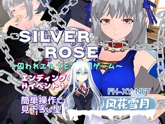 [RPG/机翻+AI文本/巨乳/2D]银玫瑰 ～被囚禁的精灵与凌辱惩罚游戏～/SILVER ROSE ～囚われエルフと凌辱罰ゲーム～[PC/620M]-1.jpg