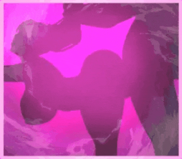 1002377514.gif