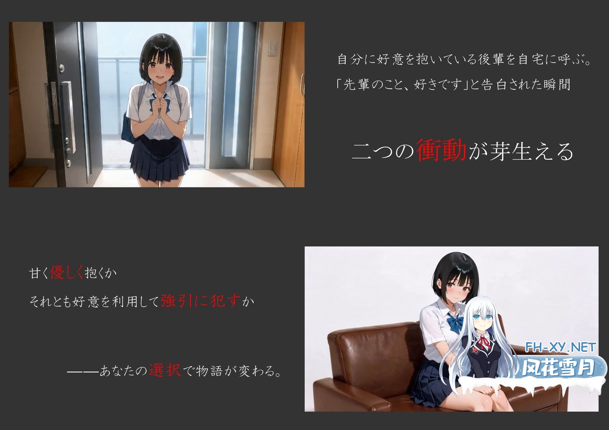 d_794731jp-001.jpg