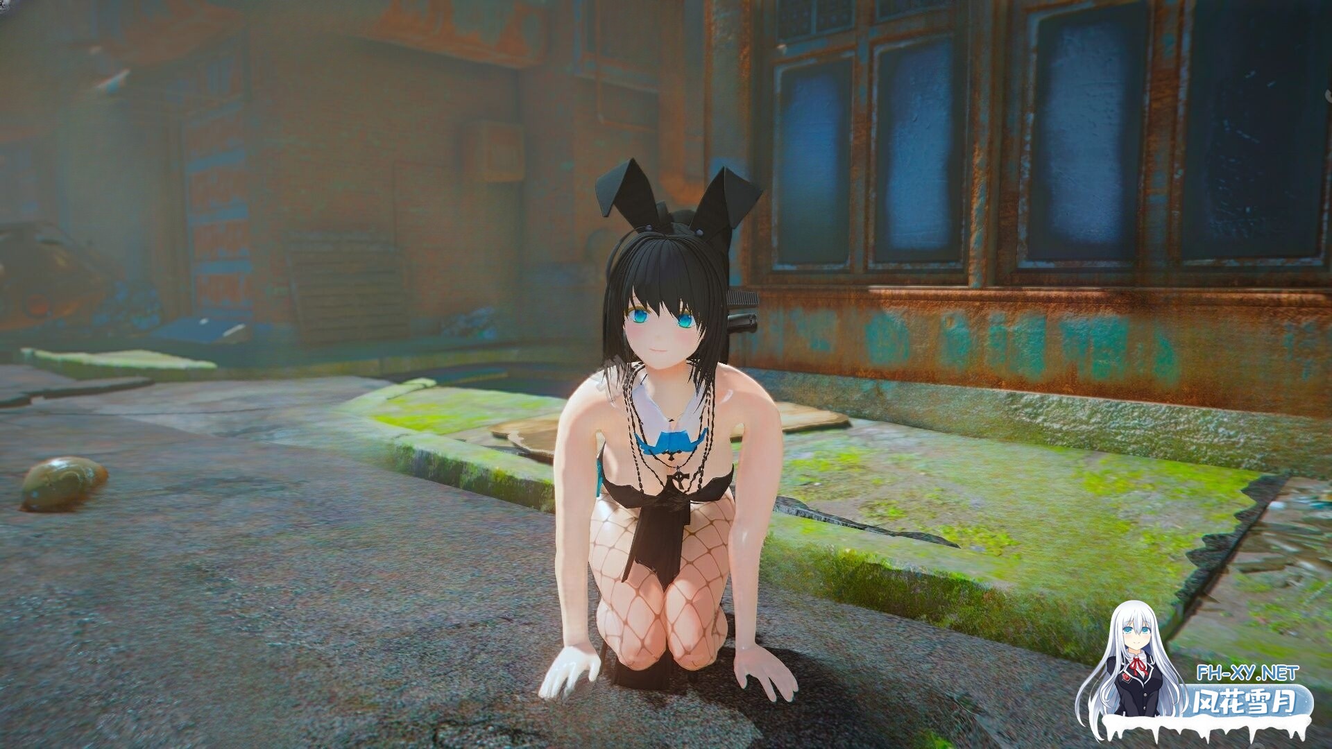 [顶级魔改/一键端]辐射绅士天堂整合-绅士次元：动漫种族 V1.0赞助内部版[超全完整版/多种配置/最新实验室][223G/新整合]-3.jpg