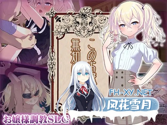 [SLG/PC/AI汉化] 这位小姐，因无知所致。 このお嬢様、無知につき [455M]-7.jpg