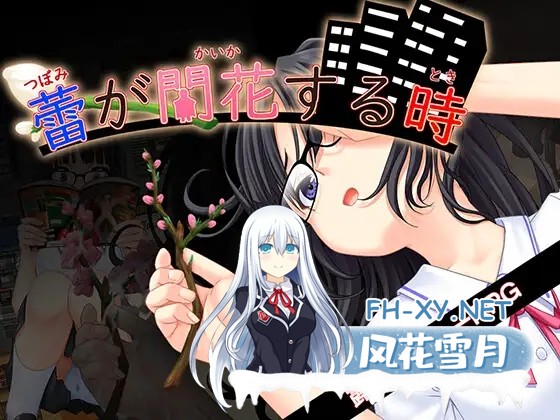 [RPG/机翻+AI文本/中出/羞辱/自慰/露出/多P][RJ01408975/kkkk社团]花蕾绽放之时/蕾が開花する時[PC/3.50G]-7.jpg