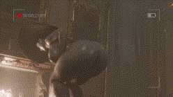 [3D]25-11-13-生化危机-八尺夫人 [619.0MB]-3.gif