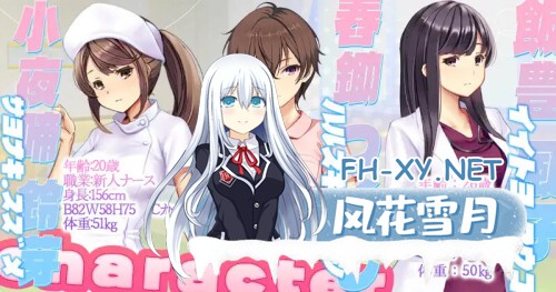 [SLG/PC] 呼叫铃警备员 ナースコール警備員 官方中文版 [1.88G]-2.jpg