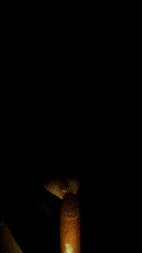 LE-SSERAFIM—淫纹骚姬骑乘 [trashinator]-3.gif