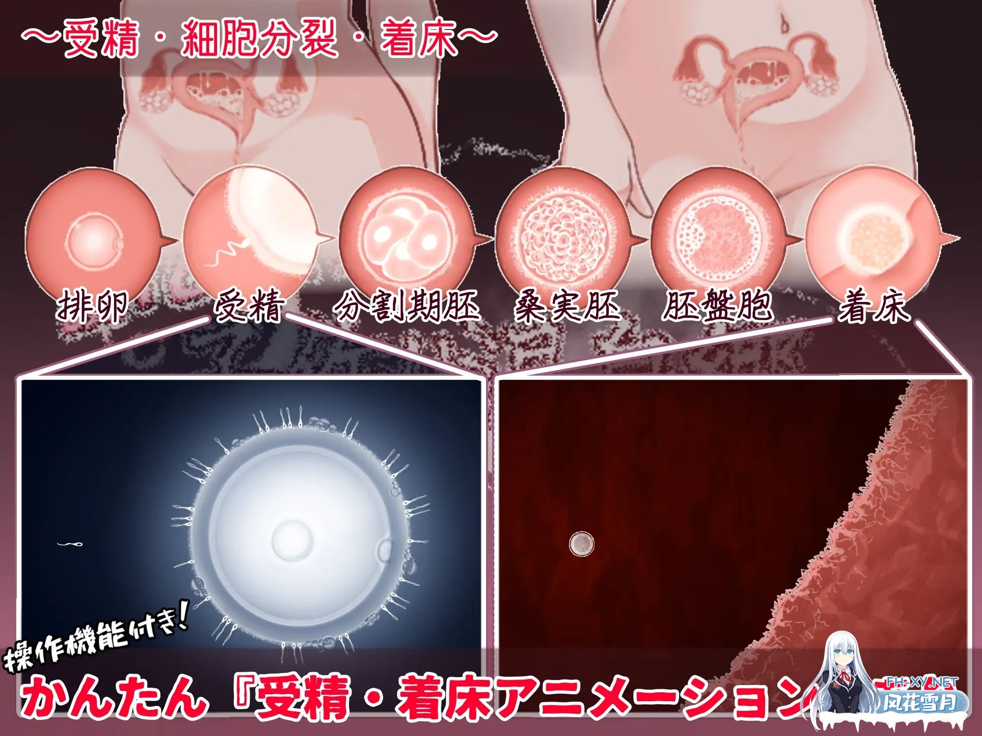 [RPG/机翻+AI文本/淫叫/中出/怀孕/西瓜肚/更新][RJ01526327/たいちょん工房社团]欢迎来到！孕育温泉乡/おいでませ！子作り温泉郷[Ver1.01][PC/530M]-4.jpg