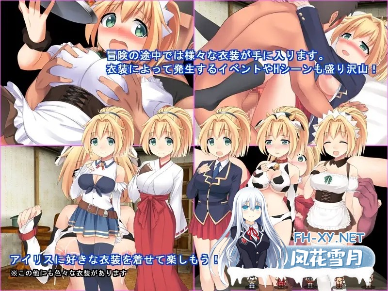 [RPG/官中/中出/小便/反向奸][RJ207577/ふらむそふと社团]幻想爱丽丝/幻想のアイリス[Ver2.09][PC/520M]-3.jpg