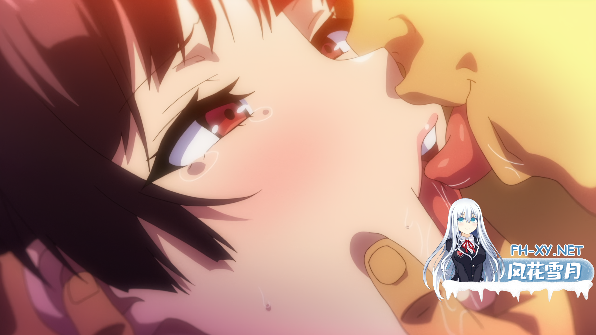 紫花1.jpg