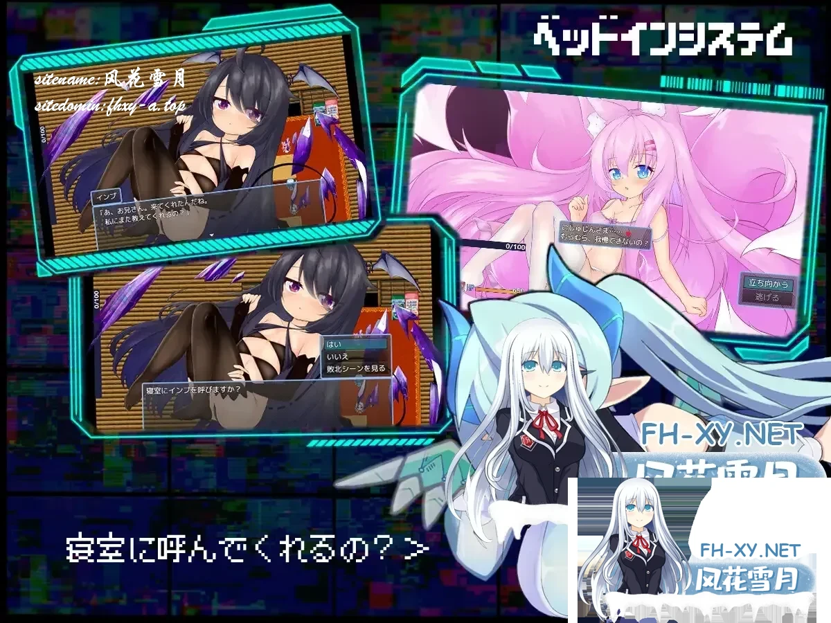 2-5.webp