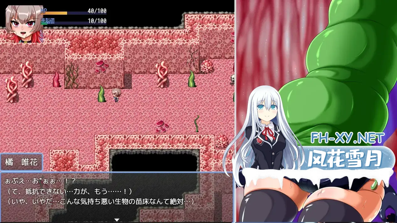 image214b0e6f4b40055b.webp