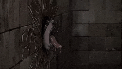 2631d282083e1d5f895f950494351f41.gif