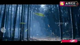 f6dcab2e4c69c.gif