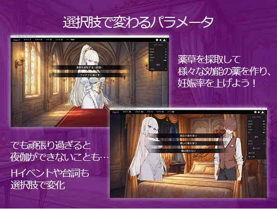 large-5.webp