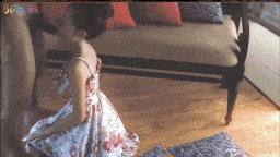 680f4fc75579a5.50463361.gif